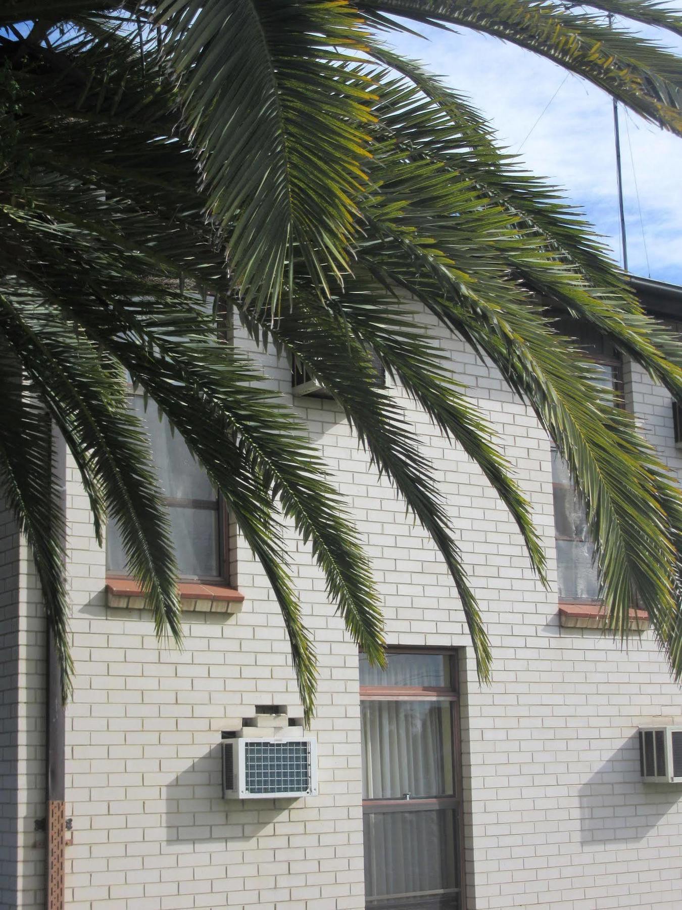 El Toro Motel Warwick Farm Zewnętrze zdjęcie